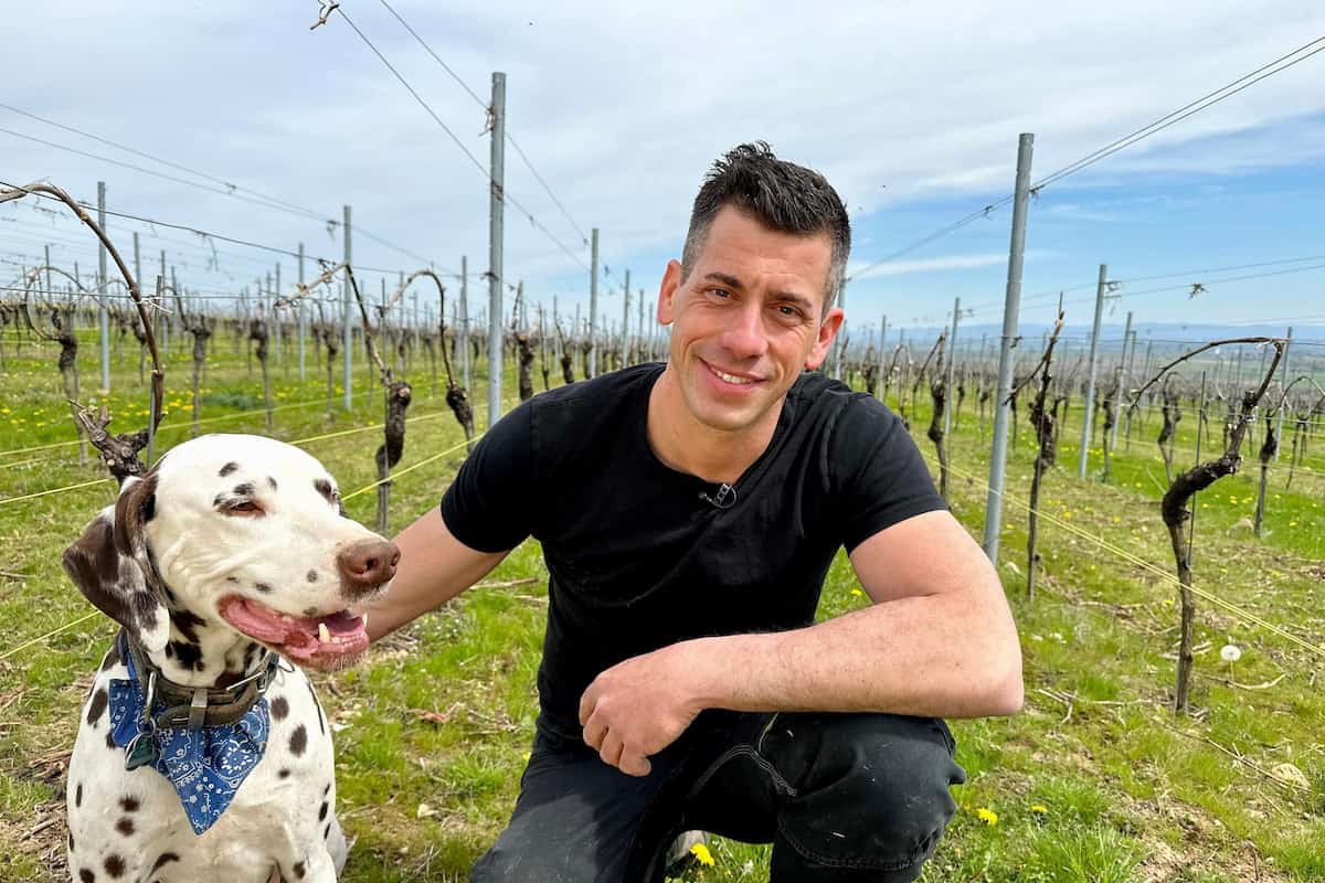 Martin aus Rheinhessen, 36 Jahre alt, Weinbau